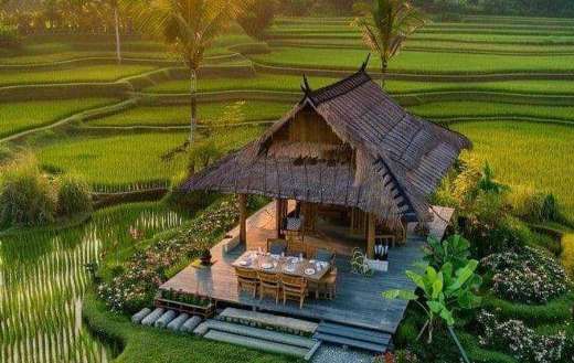 Nipa hut house rice farm