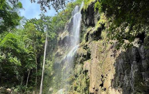 Tourist attraction falls Oslob Philippines