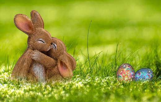 Hugging bunny in nature colorful eggs easter