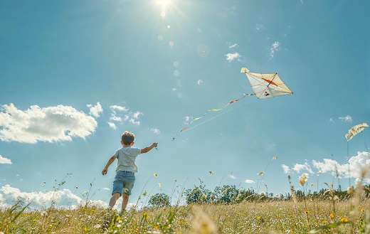 Kid in the field flying a kite