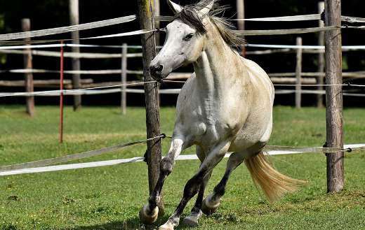 Mould coupling fool around