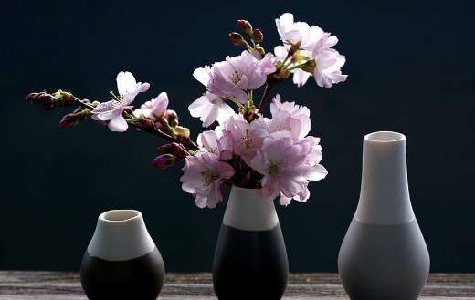 Pink flower cherry blossoms vase decoration