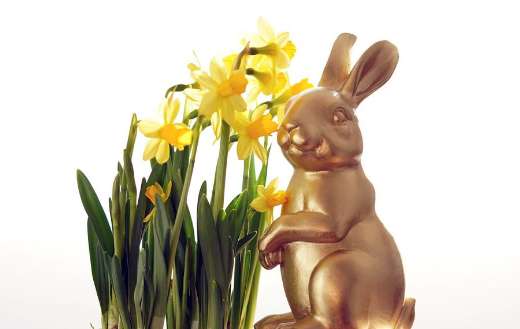 Yellow flowers gold bunny for easter