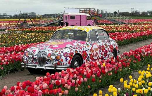 Auto decoration at tulips garden Netherlands