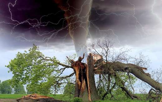 Broken tree branch tornado storm