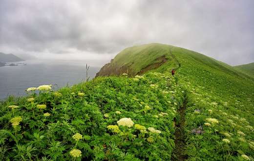 Cape pasture mountainous landscape