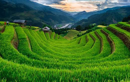 Half circle like rice terraces paddies