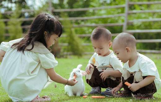 Kids feeding the rabbit