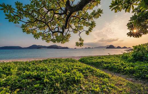 Sunset sand beach nature