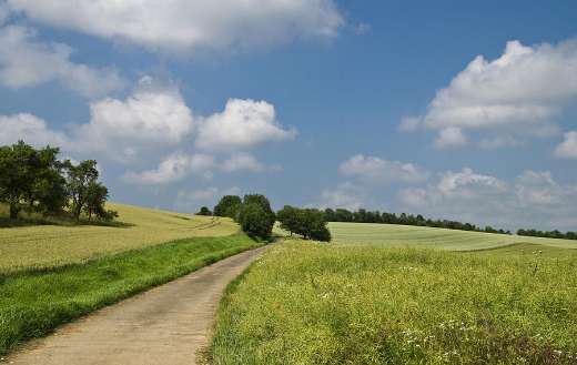 Farm field landscape with foot path