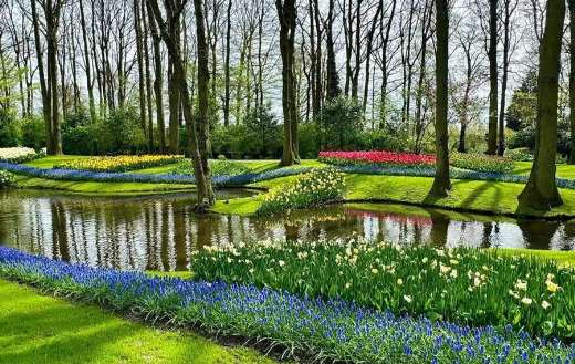 Flower park northwest Lisse Netherland