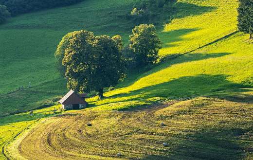 Landscape of a large field