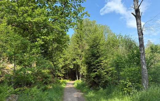 Nature area somewhere Norway
