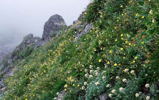 Nature life mountain