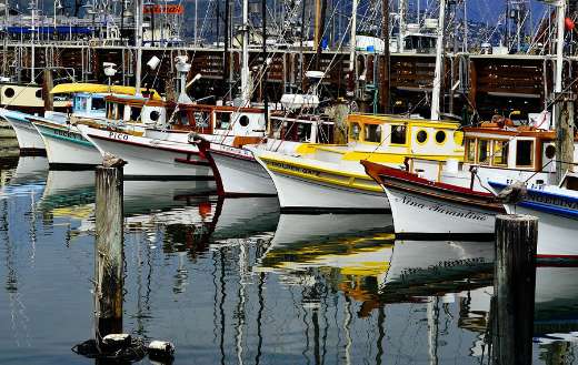 San Francisco yachts