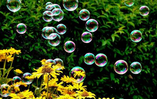 Soap bubbles flowers summer