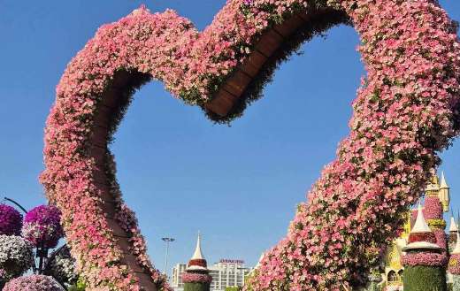 The Dubai miracle garden heart flower