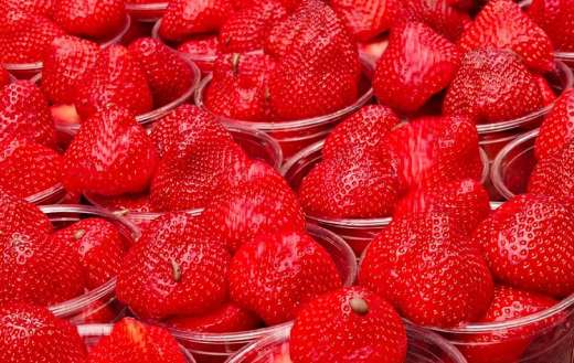 Large quantity of strawberries fruit