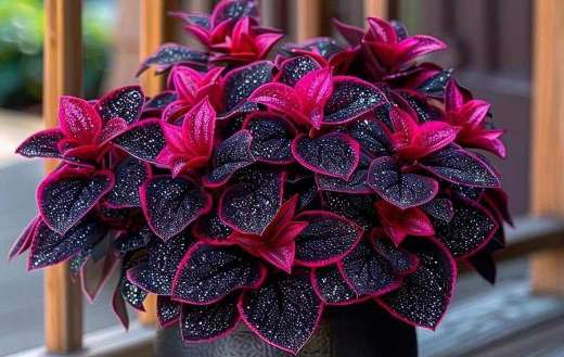 Never plant flowering species