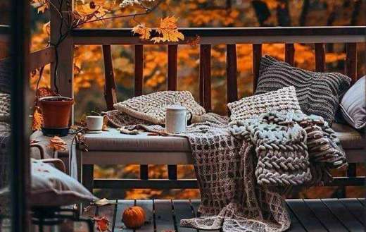 Autumn beauty to embrace