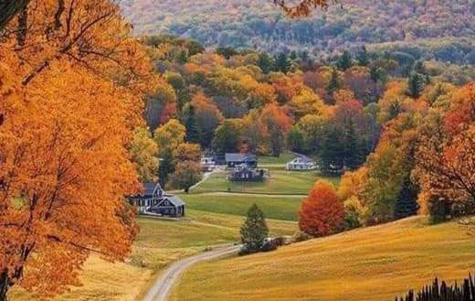 Depicts a picturesque autumn landscape