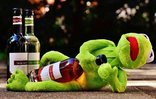 Kermit frog wine party