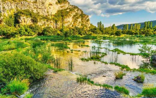 Lovely nature landscape