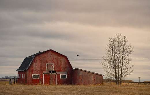Red old barn in the farm