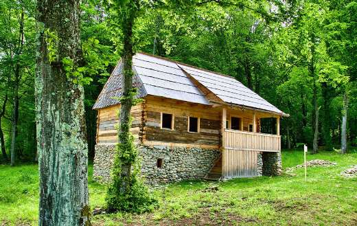 Rustic log cabin in a wooden setting