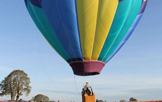 Hot air balloon above the tulips