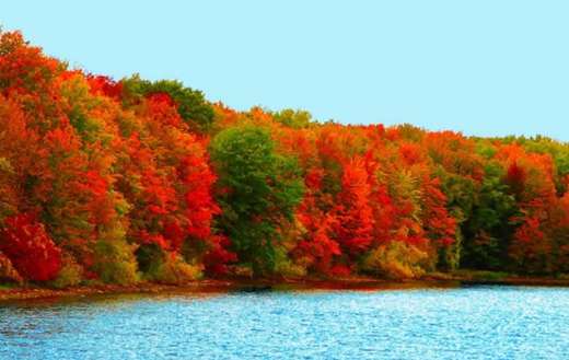 Nature turned colorful during autumn