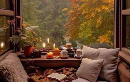Rainy autumn relax with book