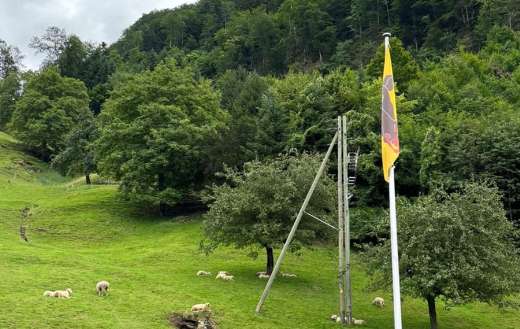 Rural hill area green meadow scene