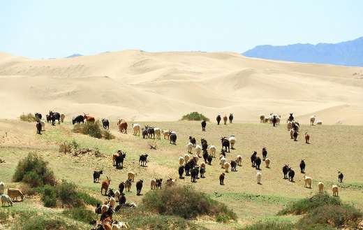 Steppe the Gobi desert Mongolia