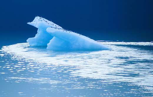 Glacier beautiful nature in the sea