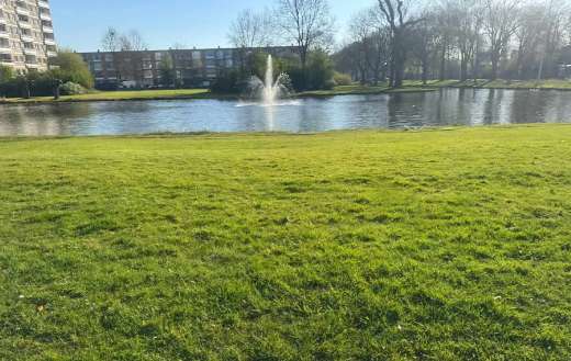 Nice landscape Netherlands