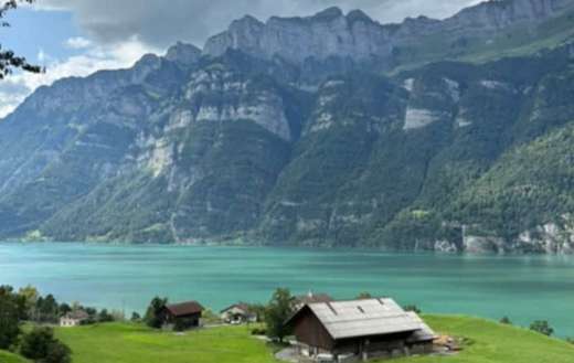 Switzerland lake sorrounded with mountain green area