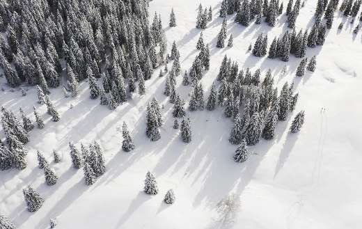 Mountains winter forest above the sky