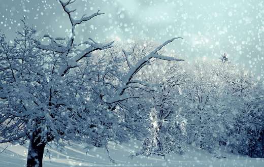 Snowy winter landscape during snowfall