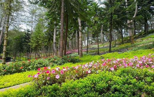 Somewhere in Davao Philippines glory mountain