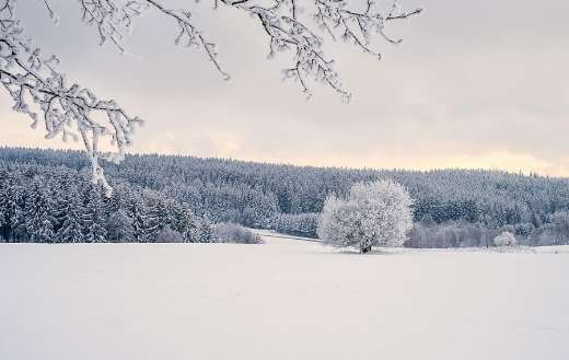 Winter landscape natural environment in winter
