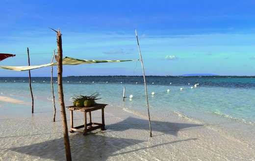 Bohol virgin Island Philippines