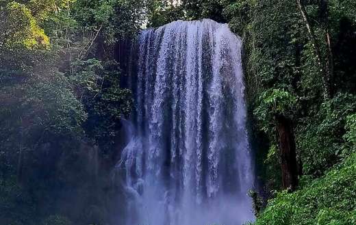 Kawasan falls in Balilihan Bohol