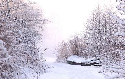 Natural environment all white winter