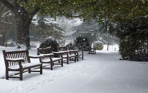 Park landscape during winter