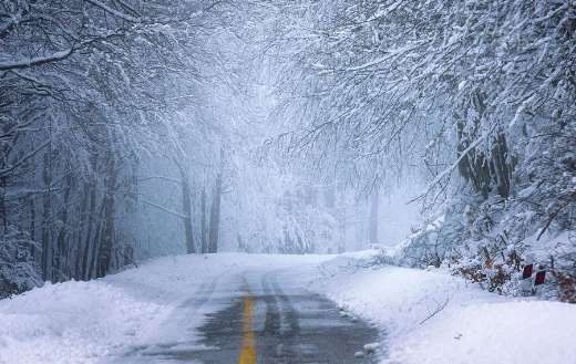 Snow covered road through forest in winter