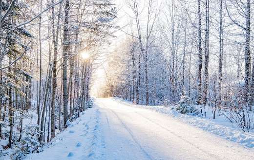 Snowy landscape with a road running through forest